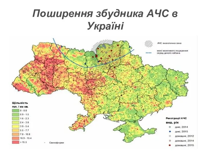 Поширення збудника АЧС в Україні
