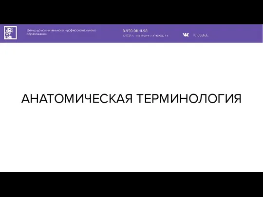 Центр дополнительного профессионального образования АНАТОМИЧЕСКАЯ ТЕРМИНОЛОГИЯ