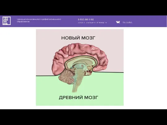 Центр дополнительного профессионального образования