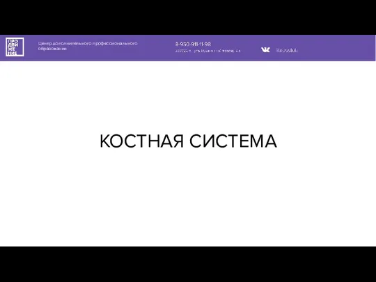 Центр дополнительного профессионального образования КОСТНАЯ СИСТЕМА