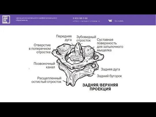 Центр дополнительного профессионального образования