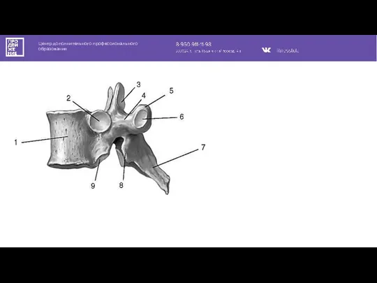 Центр дополнительного профессионального образования