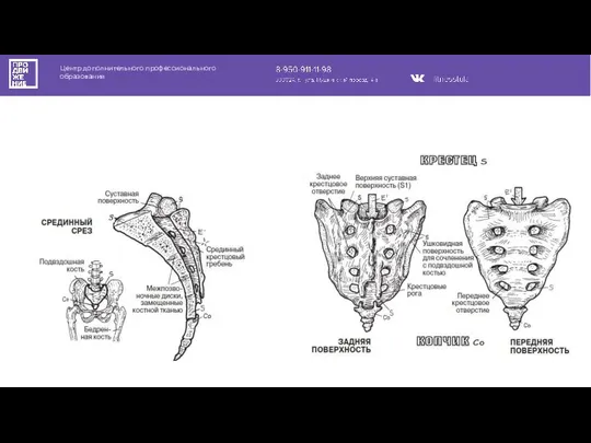 Центр дополнительного профессионального образования