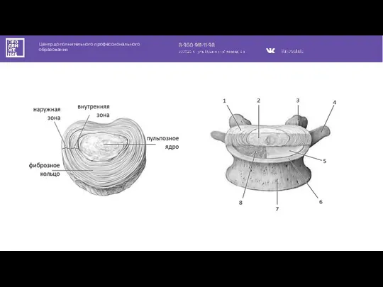 Центр дополнительного профессионального образования