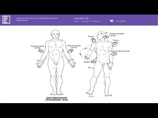 Центр дополнительного профессионального образования