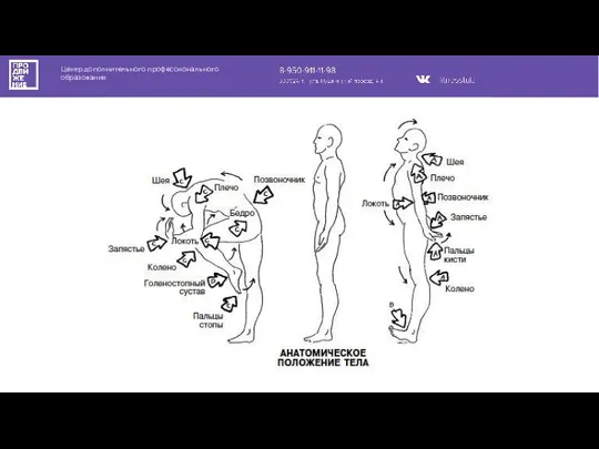 Центр дополнительного профессионального образования