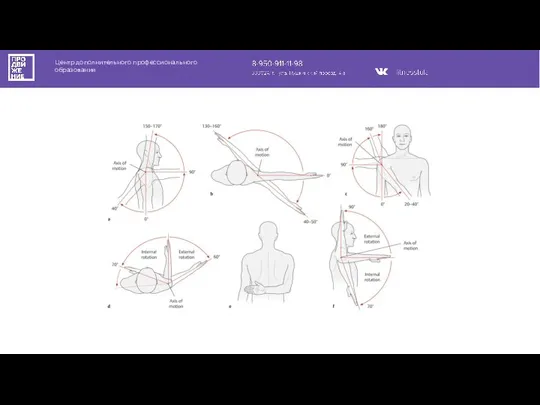 Центр дополнительного профессионального образования