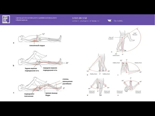 Центр дополнительного профессионального образования