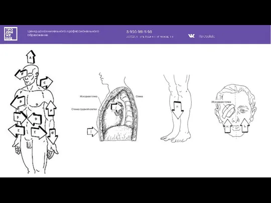 Центр дополнительного профессионального образования