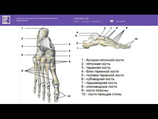 Центр дополнительного профессионального образования