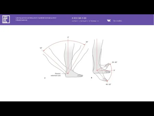 Центр дополнительного профессионального образования