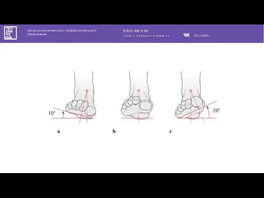 Центр дополнительного профессионального образования