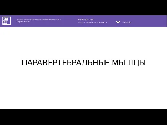 Центр дополнительного профессионального образования ПАРАВЕРТЕБРАЛЬНЫЕ МЫШЦЫ