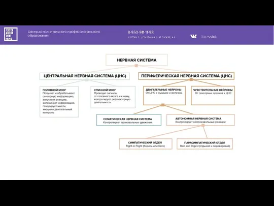 Центр дополнительного профессионального образования