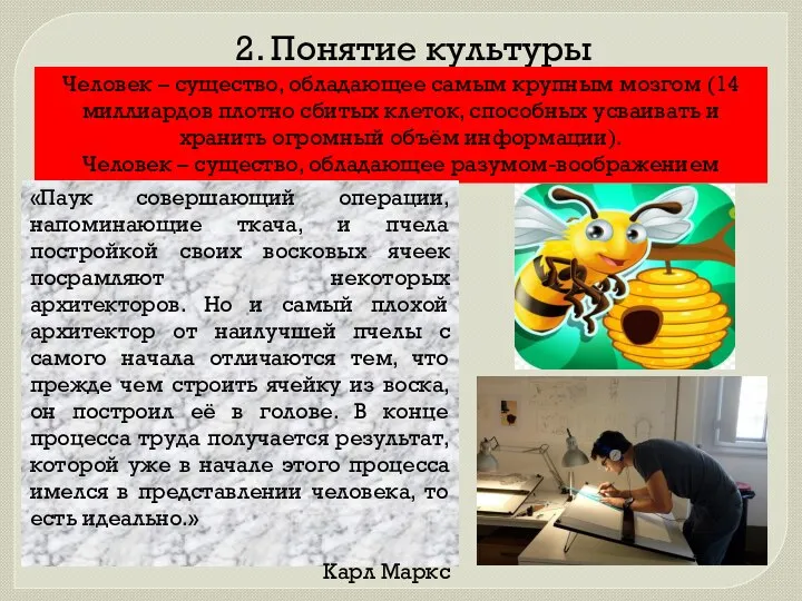 2. Понятие культуры Человек – существо, обладающее самым крупным мозгом (14 миллиардов