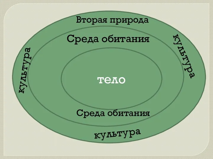 с тело Среда обитания Среда обитания Вторая природа культура культура культура