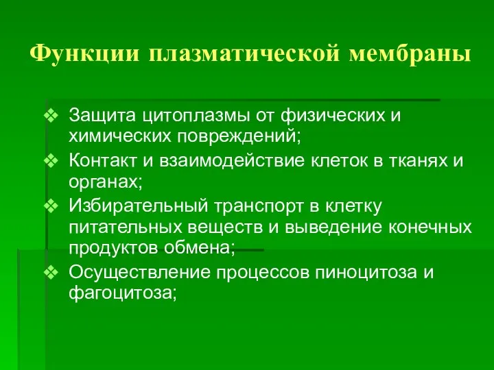 Функции плазматической мембраны Защита цитоплазмы от физических и химических повреждений; Контакт и