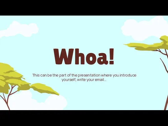 This can be the part of the presentation where you introduce yourself, write your email… Whoa!