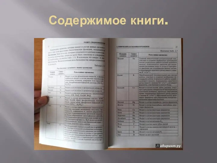 Содержимое книги.