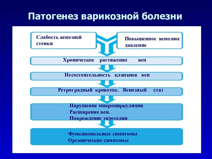 Патогенез варикозной болезни Слабость венозной стенки Повышенное венозное давление Хроническое растяжение вен