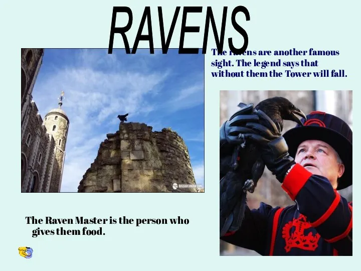 The Raven Master is the person who gives them food. The ravens