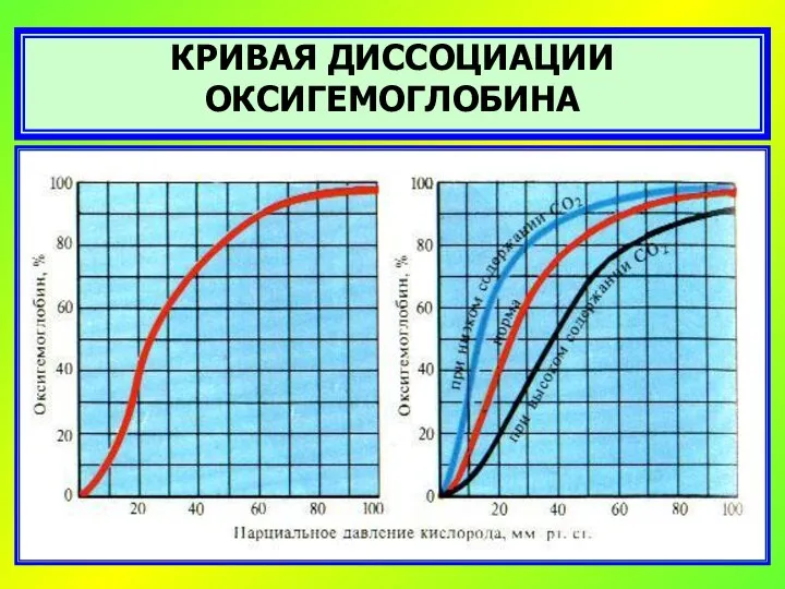 КРИВАЯ ДИССОЦИАЦИИ ОКСИГЕМОГЛОБИНА