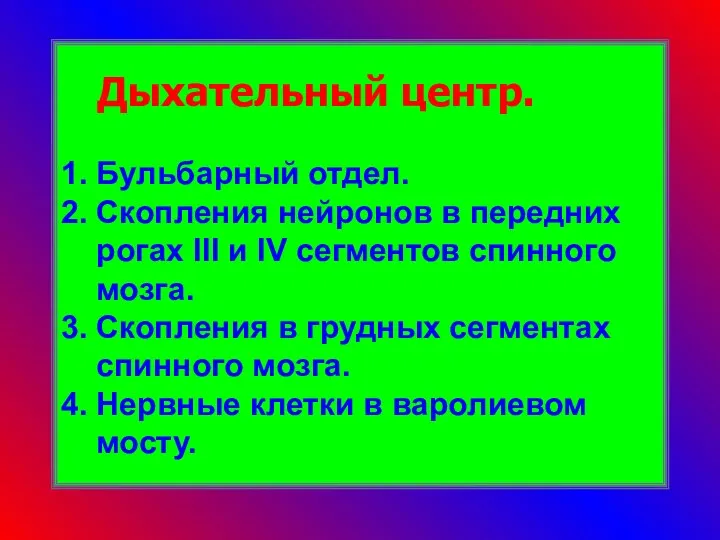 Дыхательный центр. 1. Бульбарный отдел. 2. Скопления нейронов в передних рогах III