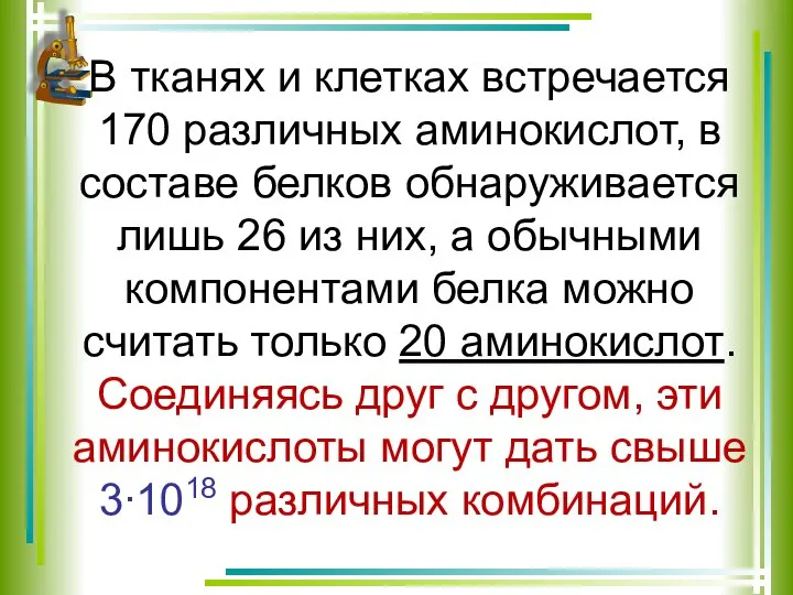 В тканях и клетках встречается 170 различных аминокислот, в составе белков обнаруживается