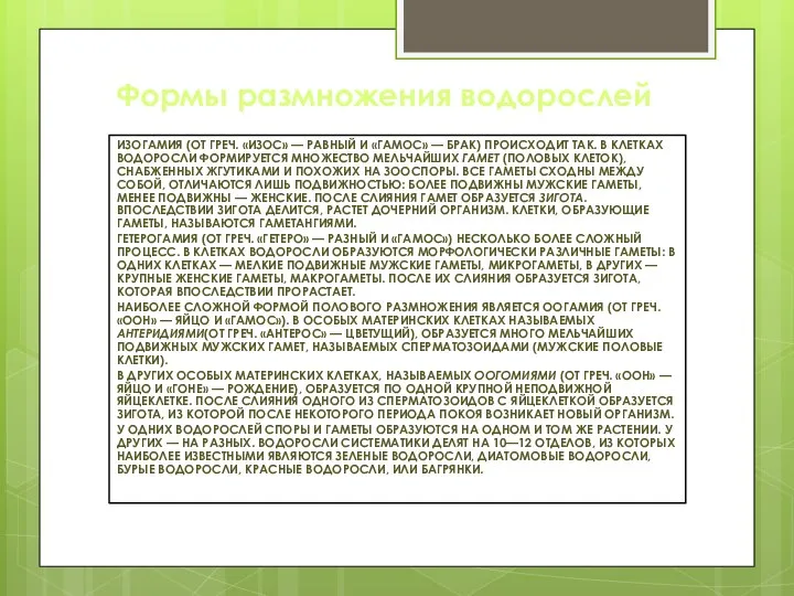 Формы размножения водорослей ИЗОГАМИЯ (ОТ ГРЕЧ. «ИЗОС» — РАВНЫЙ И «ГАМОС» —