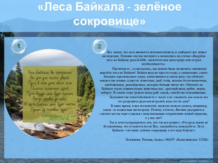 «Леса Байкала - зелёное сокровище» Все знают, что леса являются легкими планеты