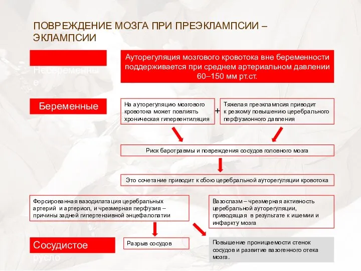 Небеременные Ауторегуляция мозгового кровотока вне беременности поддерживается при среднем артериальном давлении 60–150