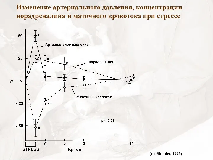 Изменение артериального давления, концентрации норадреналина и маточного кровотока при стрессе (по Shnider, 1993)