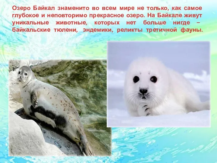 Озеро Байкал знаменито во всем мире не только, как самое глубокое и