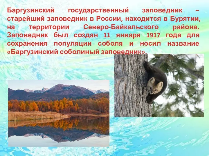 Баргузинский государственный заповедник – старейший заповедник в России, находится в Бурятии, на