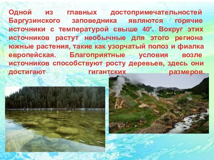 Одной из главных достопримечательностей Баргузинского заповедника являются горячие источники с температурой свыше