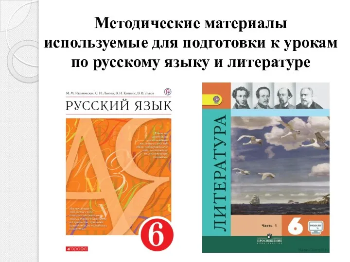 Методические материалы используемые для подготовки к урокам по русскому языку и литературе