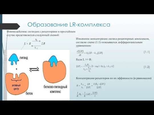 Образование LR-комплекса Взаимодействие лигандов с рецепторами в простейшем случае представляется следующей схемой: