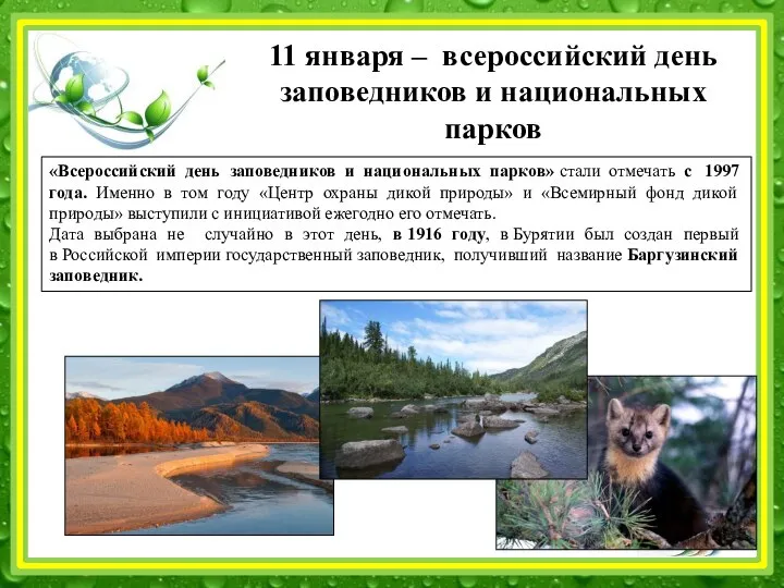 11 января – всероссийский день заповедников и национальных парков «Всероссийский день заповедников