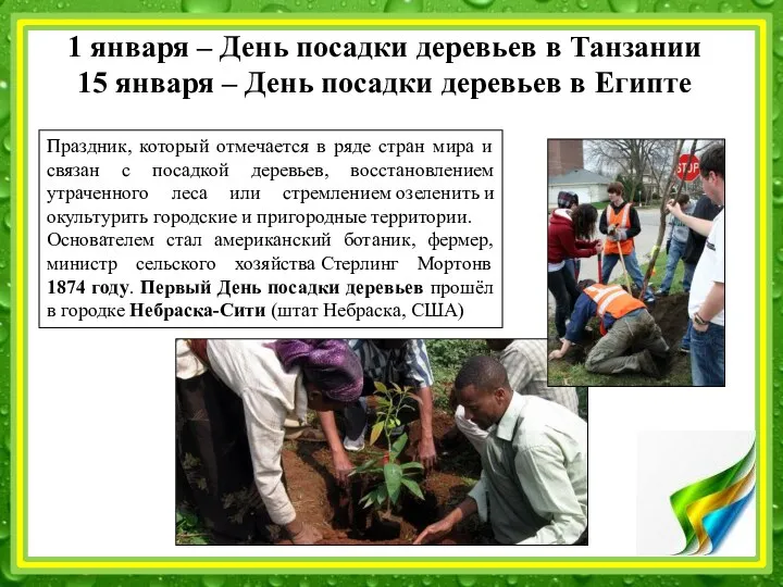 1 января – День посадки деревьев в Танзании 15 января – День