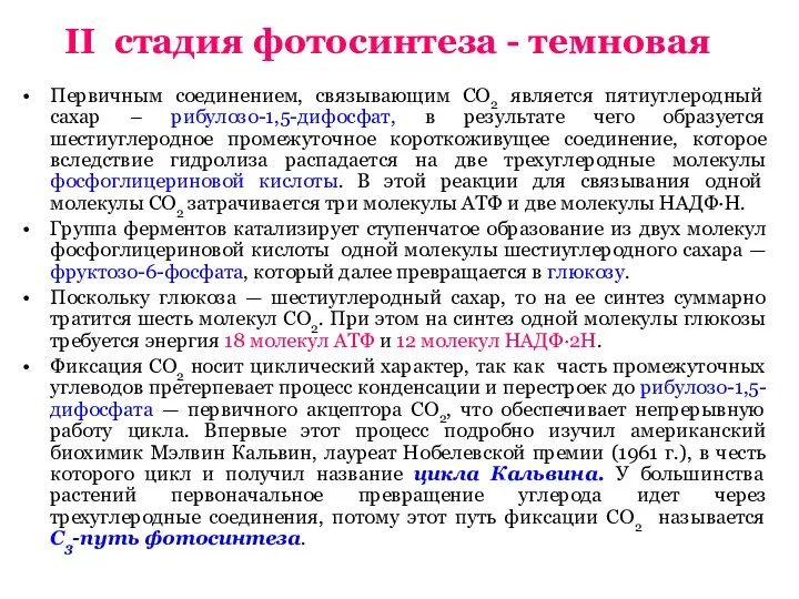 II стадия фотосинтеза - темновая Первичным соединением, связывающим СО2 является пятиуглеродный сахар