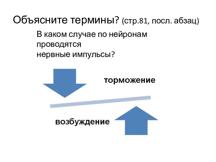 Объясните термины? (стр.81, посл. абзац) В каком случае по нейронам проводятся нервные импульсы?