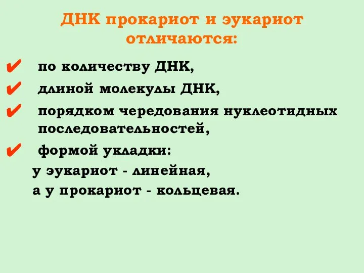 ДНК прокариот и эукариот отличаются: по количеству ДНК, длиной молекулы ДНК, порядком