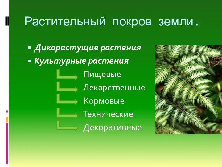 Растительный покров земли. Дикорастущие растения Культурные растения Пищевые Лекарственные Кормовые Технические Декоративные