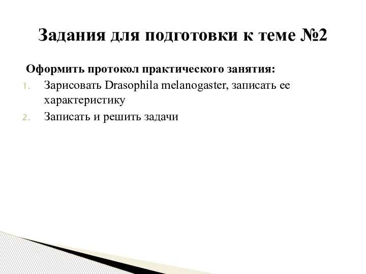 Оформить протокол практического занятия: Зарисовать Drasophila melanogaster, записать ее характеристику Записать и