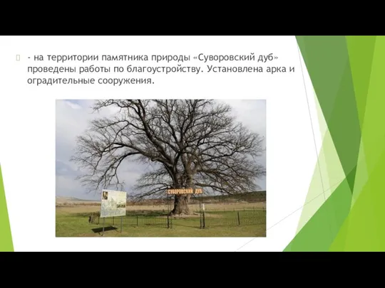 - на территории памятника природы «Суворовский дуб» проведены работы по благоустройству. Установлена арка и оградительные сооружения.