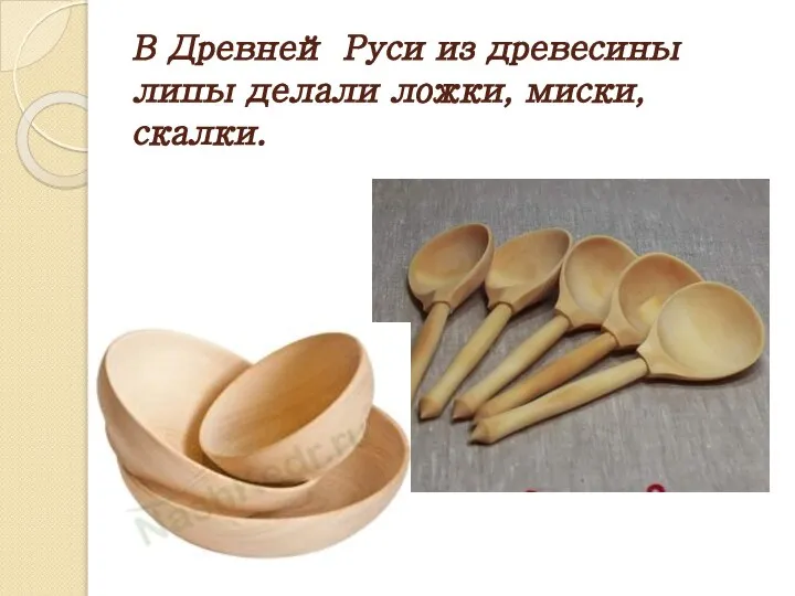 В Древней Руси из древесины липы делали ложки, миски, скалки.