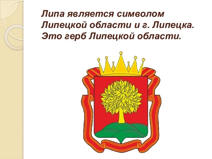 Липа является символом Липецкой области и г. Липецка. Это герб Липецкой области.