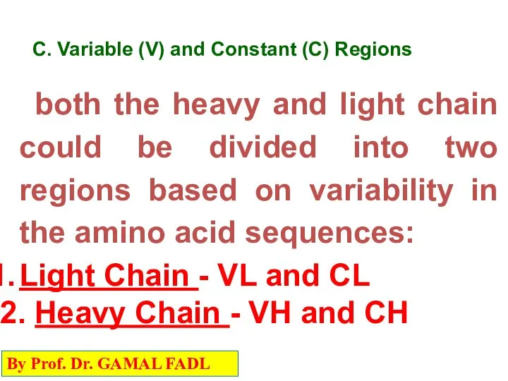 C. Variable (V) and Constant (C) Regions both the heavy and light