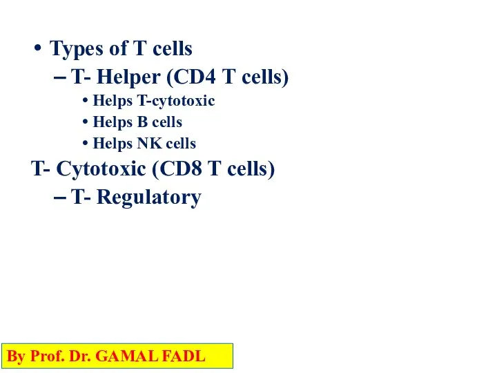 Types of T cells T- Helper (CD4 T cells) Helps T-cytotoxic Helps
