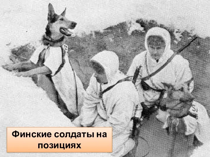 Финские солдаты на позициях